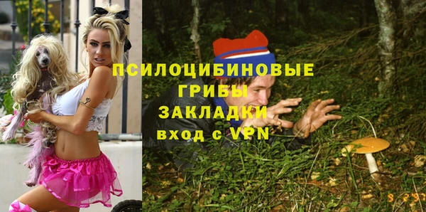 синтетический гашиш Приозерск