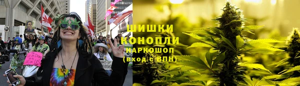 трава Протвино